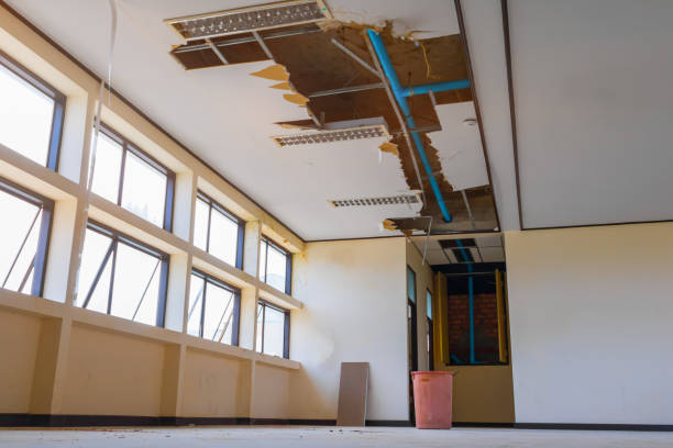 Best Water damage contractors near me  in Deephaven, MN