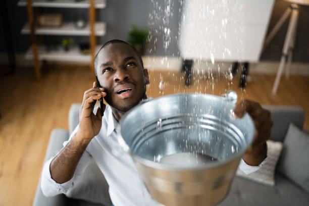 Carpet water damage restoration in Deephaven, MN