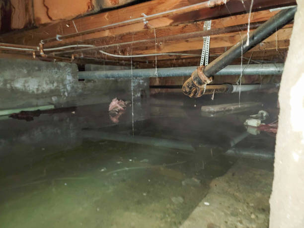 Best Commercial water damage restoration  in Deephaven, MN