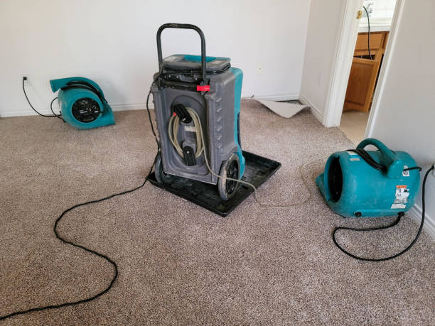 Best Emergency water damage restoration  in Deephaven, MN