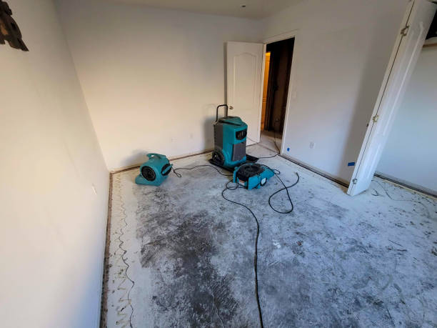 Best Flooded house restoration  in Deephaven, MN