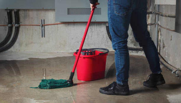 Water damage restoration insurance claims in Deephaven, MN
