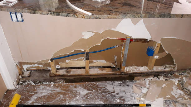 Best Professional water damage repair  in Deephaven, MN