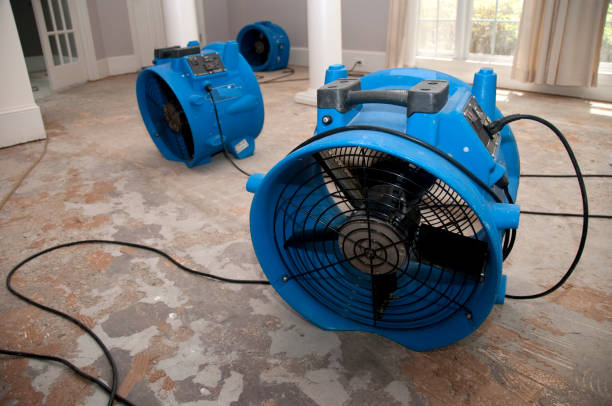 Best Flood damage cleanup  in Deephaven, MN