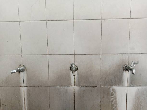 Best 24/7 water damage repair  in Deephaven, MN