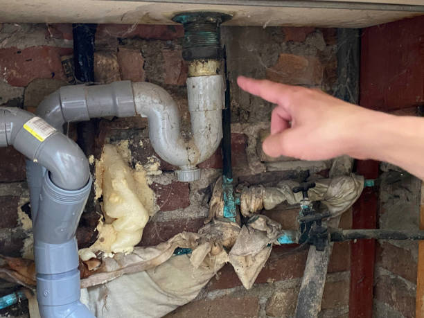 Trusted Deephaven, MN Water damage restoration Experts