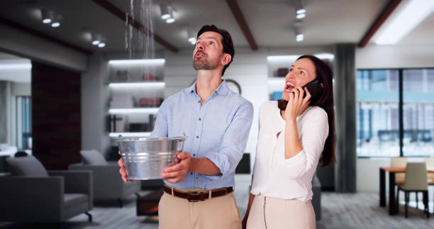 Best 24/7 water damage repair  in Deephaven, MN