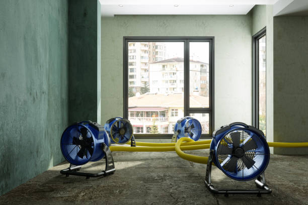 Water damage restoration experts in Deephaven, MN